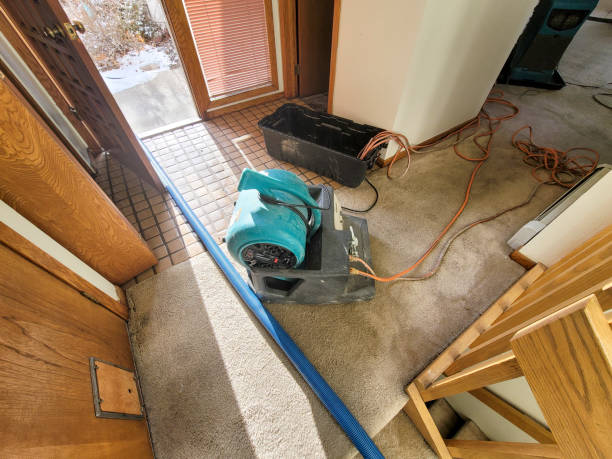 Best Water damage restoration insurance claims  in Pulaski, WI