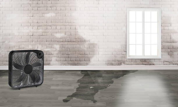 Trusted Pulaski, WI Water damage restoration Experts