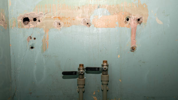 Best Ceiling water damage repair  in Pulaski, WI