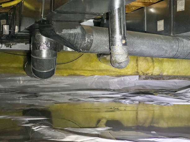 Best Basement water damage restoration  in Pulaski, WI