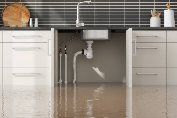 Best Residential water damage restoration  in Pulaski, WI