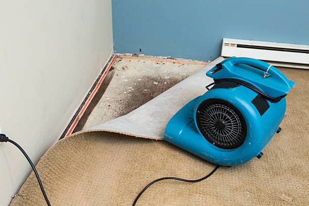 Best Commercial water damage restoration  in Pulaski, WI